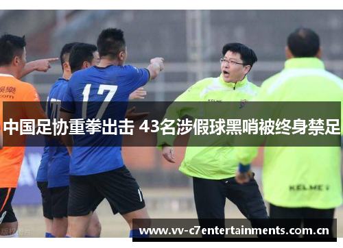 中国足协重拳出击 43名涉假球黑哨被终身禁足
